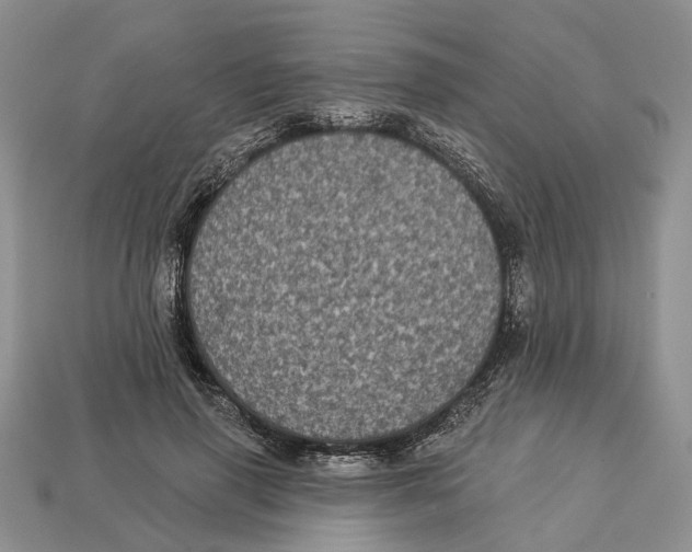 X0000113050645200909241456