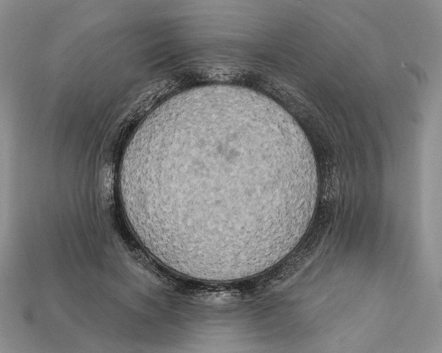 X0000113050646200909241456