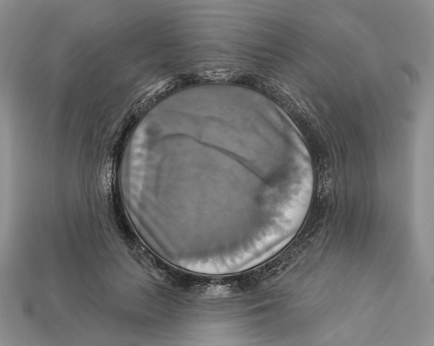 X0000113050647200909241456