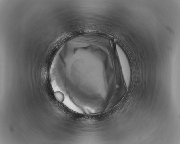 X0000113050648200909241456