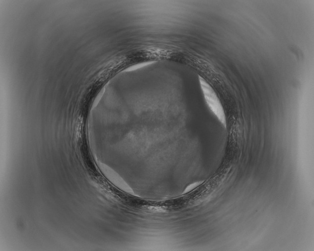 X0000113050649200909241456