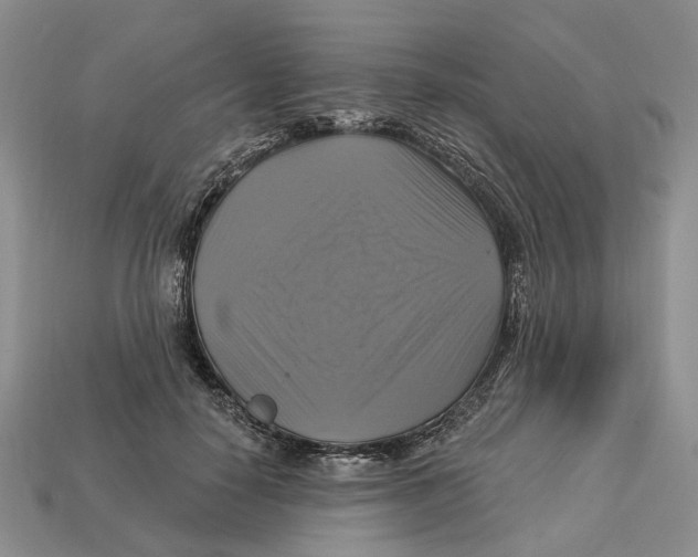 X0000113050650200909241456