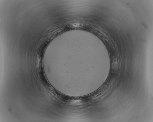 X0000113050651200909241456