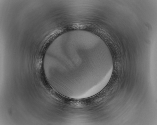 X0000113050652200909241456