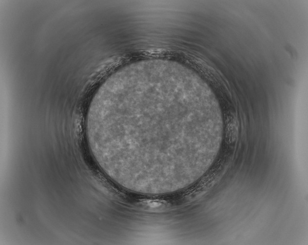 X0000113050654200909241456