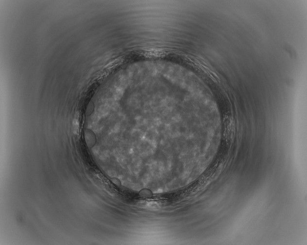 X0000113050655200909241456