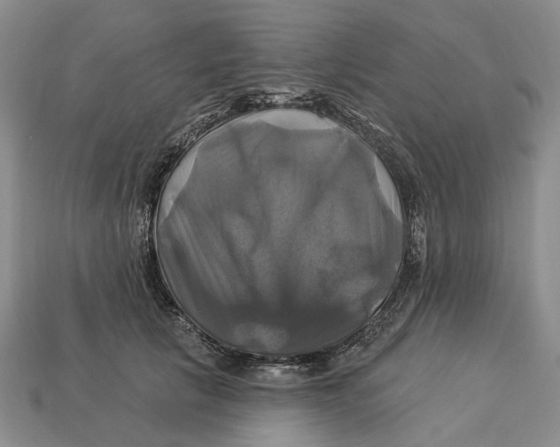 X0000113050657200909241456