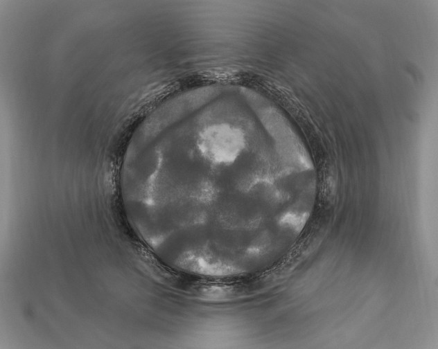 X0000113050658200909241456