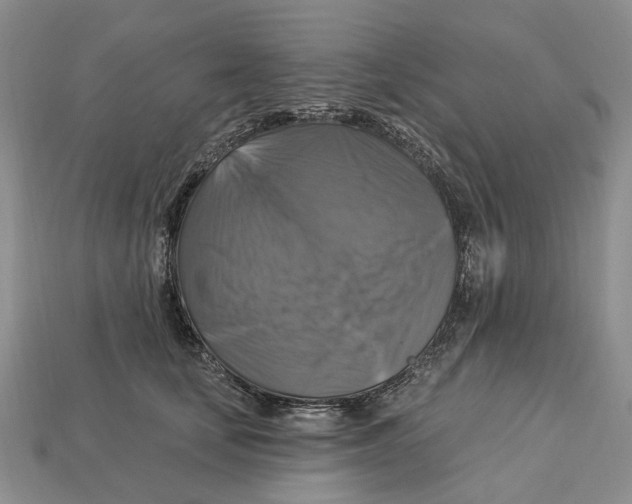 X0000113050659200909241456