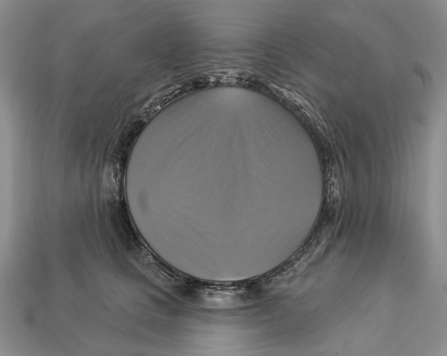 X0000113050661200909241456