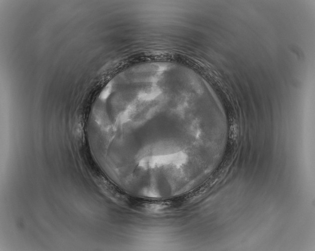 X0000113050662200909241456