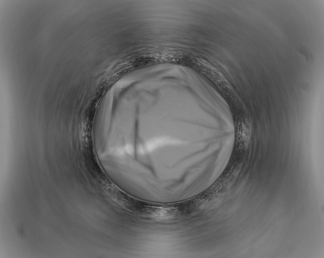 X0000113050663200909241456