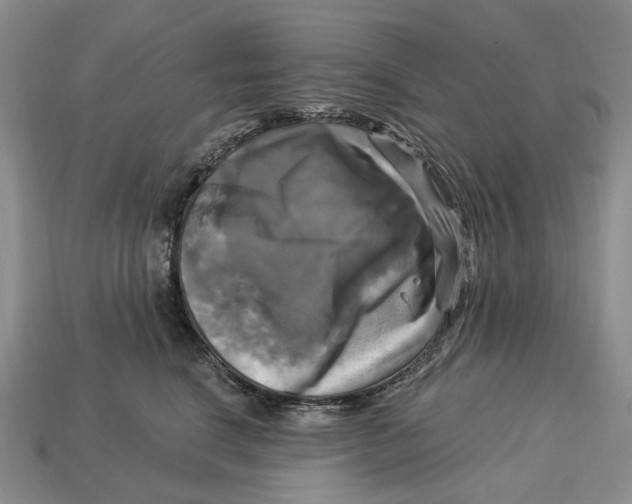 X0000113050664200909241456