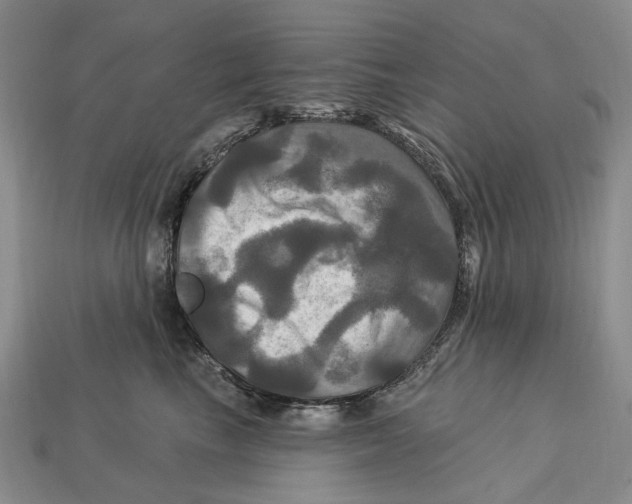 X0000113050665200909241456