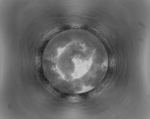 X0000113050666200909241456