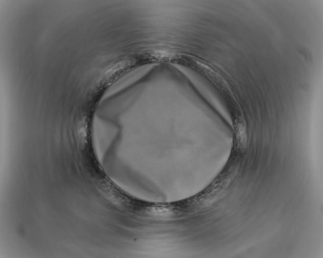 X0000113050668200909241456