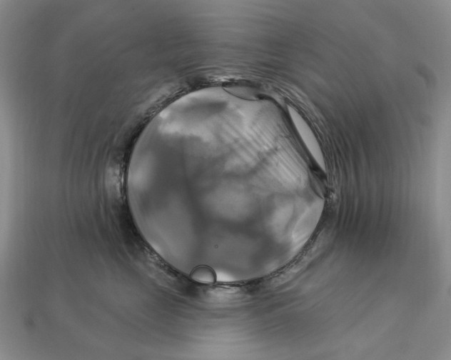 X0000113050669200909241456