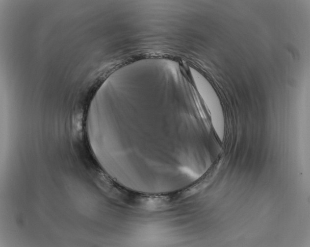 X0000113050670200909241456