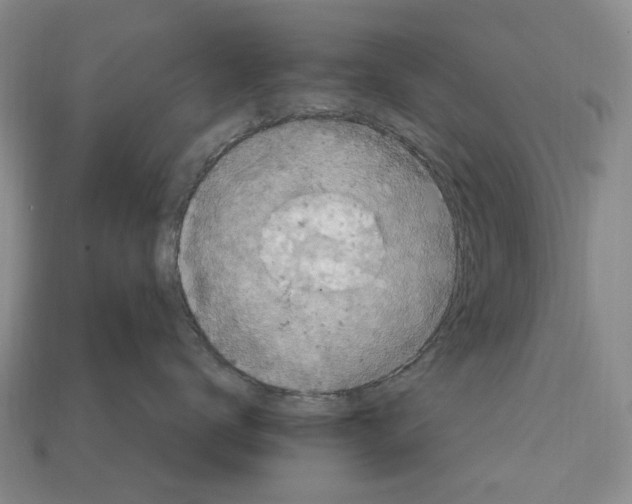 X0000113050672200909241456