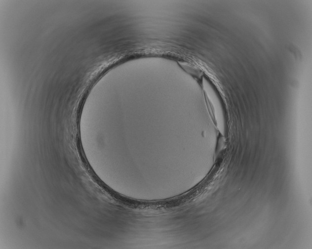 X0000113050673200909241456