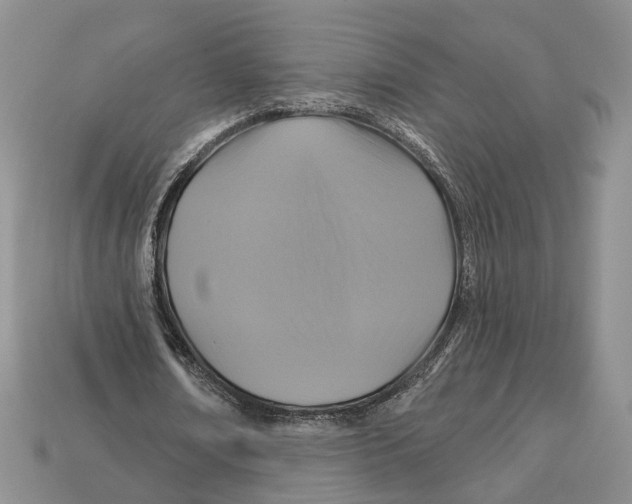 X0000113050674200909241455