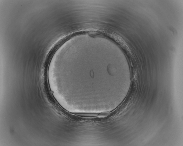 X0000113050676200909241455