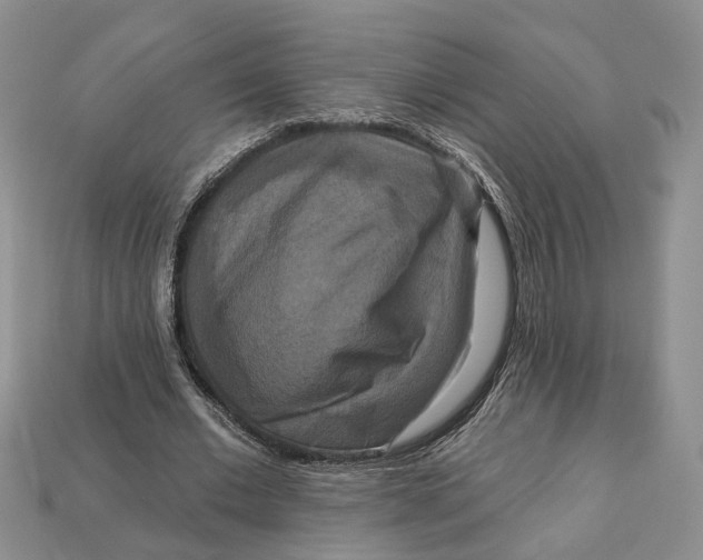 X0000113050677200909241455