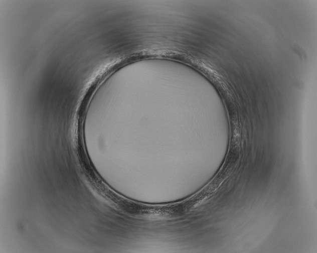 X0000113050678200909241455
