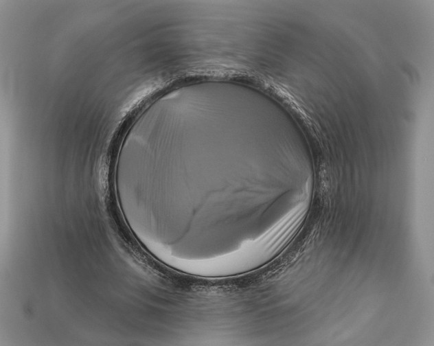X0000113050679200909241455