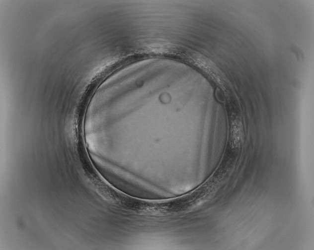 X0000113050680200909241455