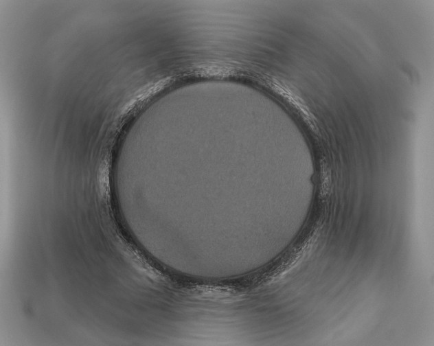 X0000113050681200909241455