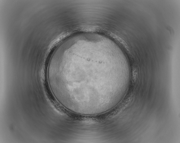 X0000113050682200909241455