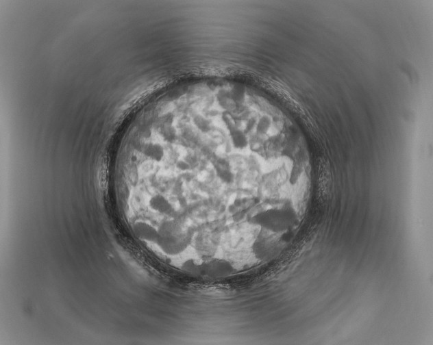 X0000113050683200909241455