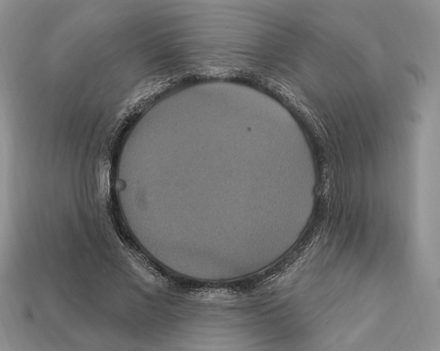 X0000113050685200909241455