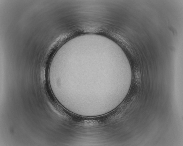 X0000113050686200909241455