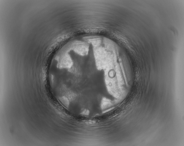 X0000113050687200909241455