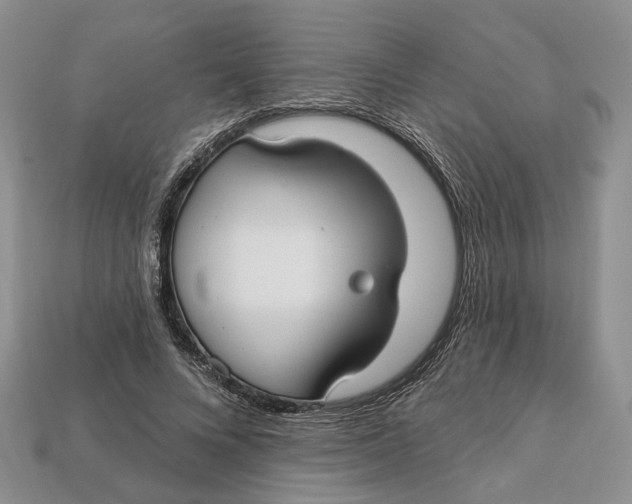 X0000113050688200909241455