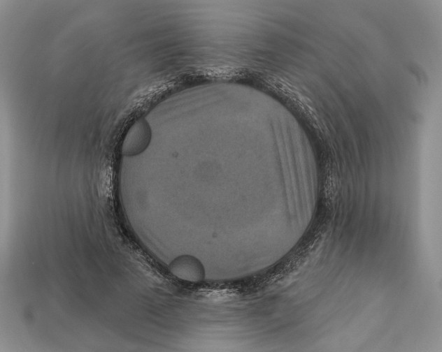 X0000113050689200909241455
