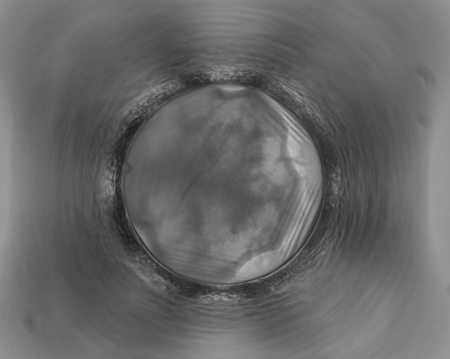 X0000113050691200909241455