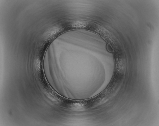 X0000113050692200909241455