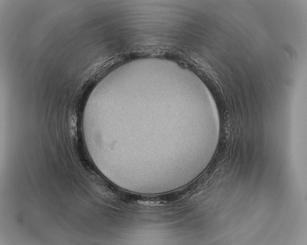 X0000113050693200909241455