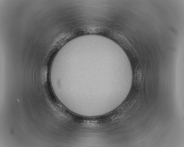 X0000113050694200909241455