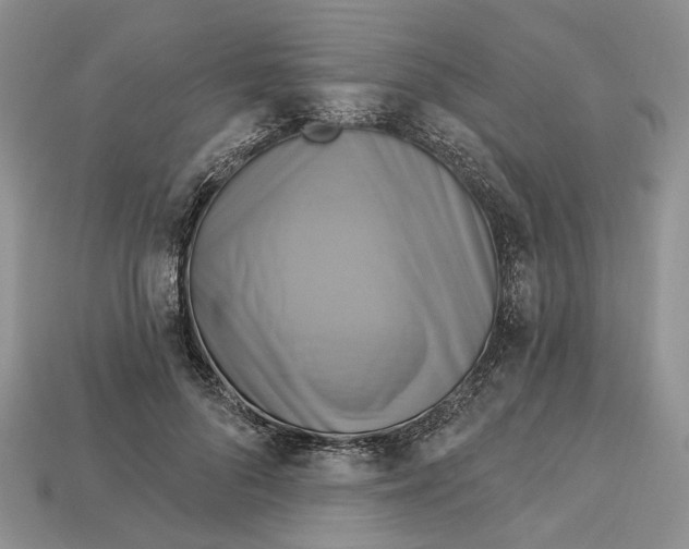 X0000113050696200909241455