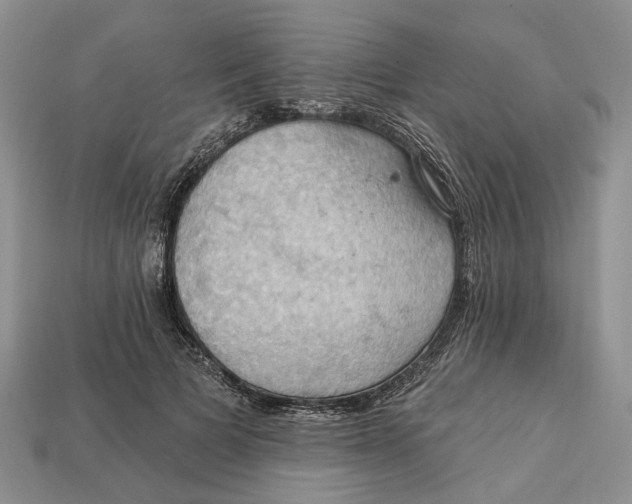 X0000113050697200909241455