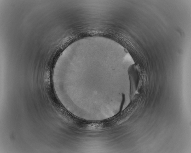 X0000113050700200909241455
