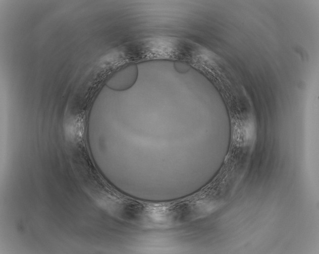 X0000113050701200909241455