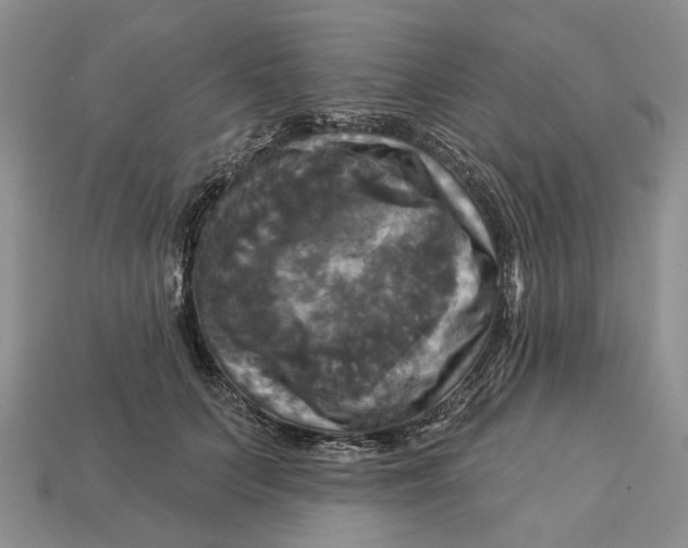X0000113050703200909241455