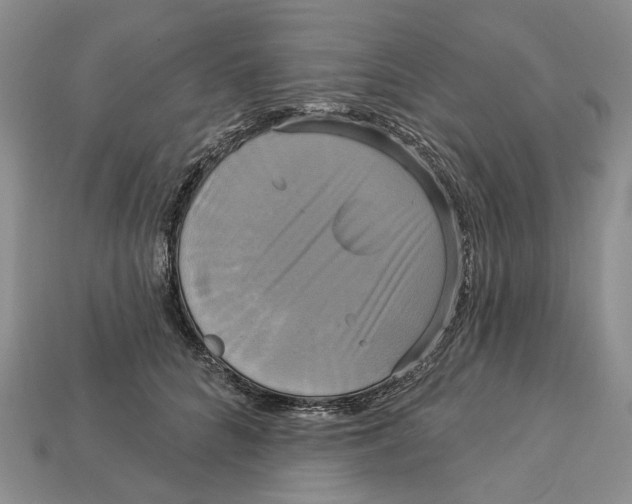 X0000113050704200909241455