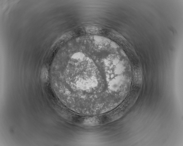 X0000113050705200909241455