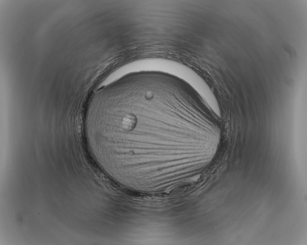 X0000113050708200909241455
